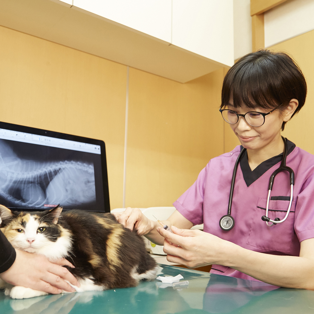 ワクチンやノミダニ予防